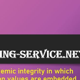 Promissing best-writing-service